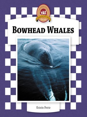 cover image of Bowhead Whales